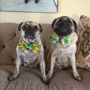 Stylin’ Pugs